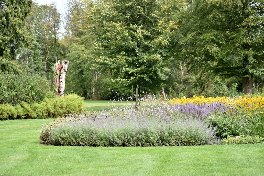 A neatly landscaped garden (Silence - idyll - park)